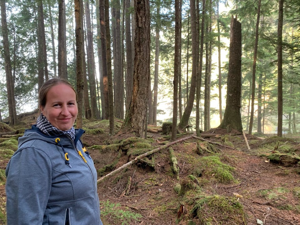 Kanada - Mount Waddington A - 