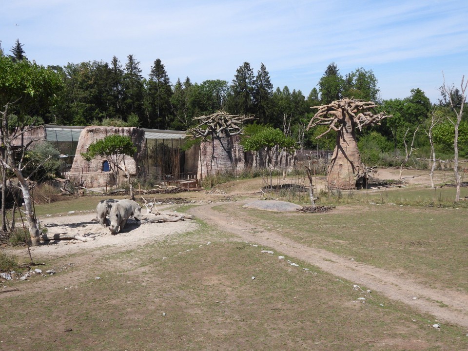 Schweiz - Zürich - ....dann läuft das Päärchen Richtung Sandplatz, der Einzelgänger bleibt noch ein bisschen
