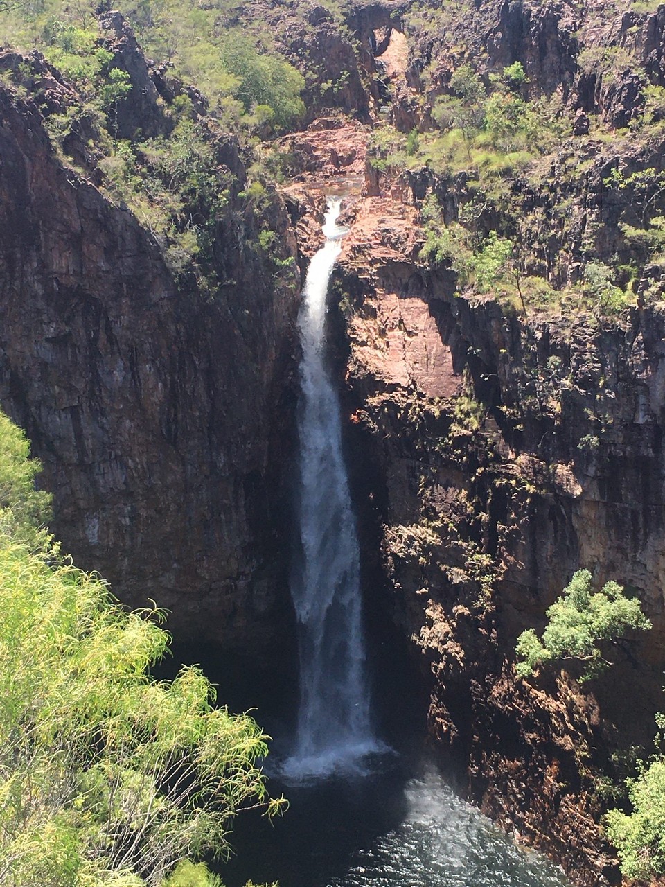 Australien - Litchfield Park - 