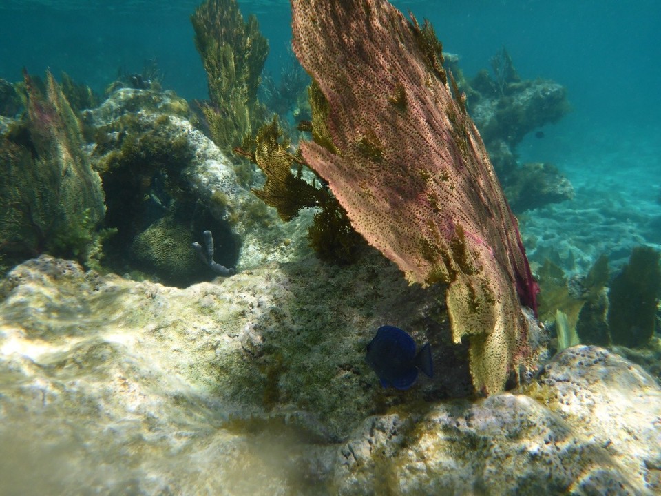 Antigua und Barbuda - Antigua and Barbuda - 