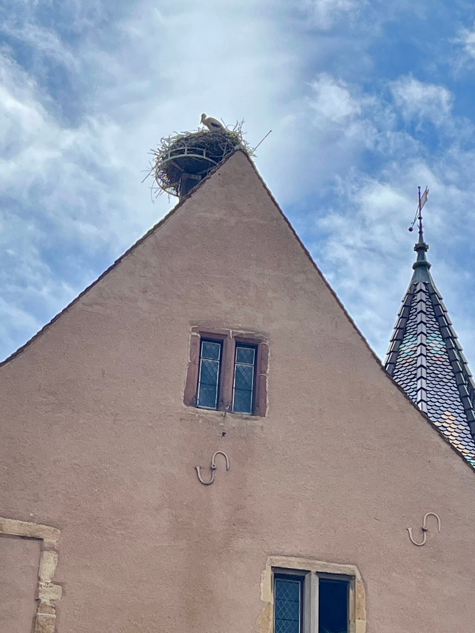 Frankreich - Eguisheim - 