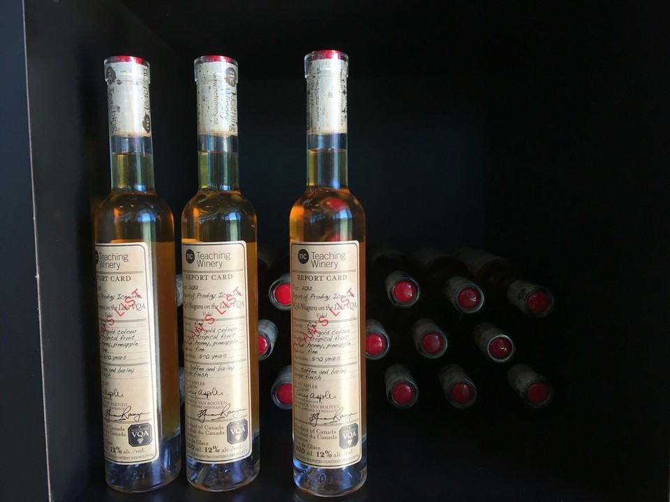  - Kanada, Niagara Falls - Der Eiswein ist hier auch wirklich unglaublich gut