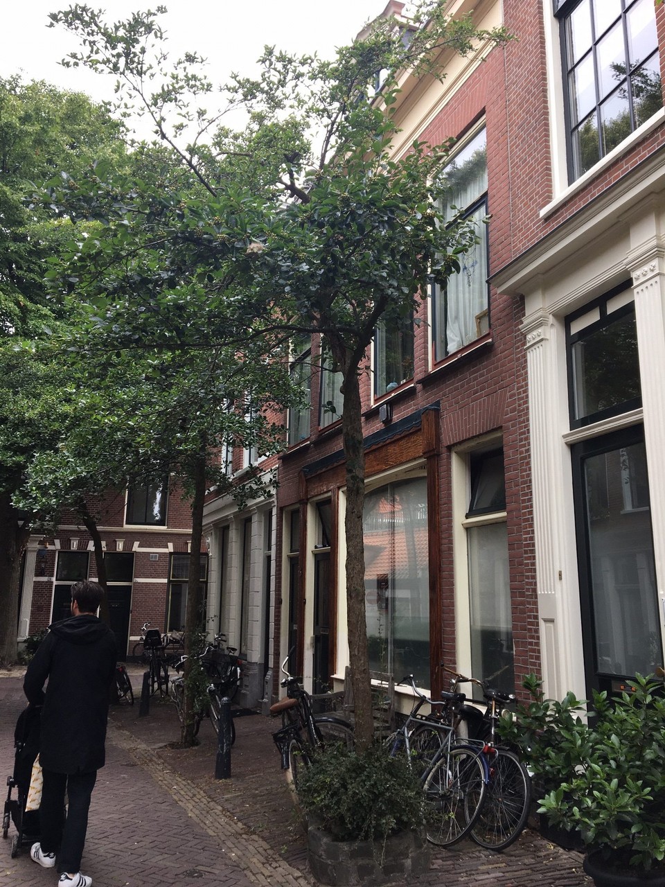 Niederlande - Haarlem - 