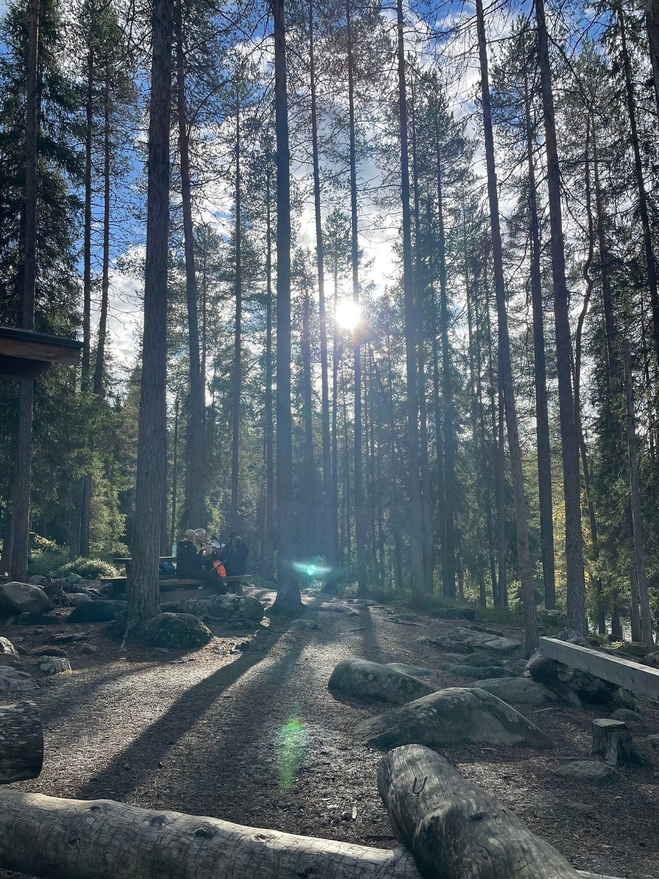 Finnland - Rukatunturi - 