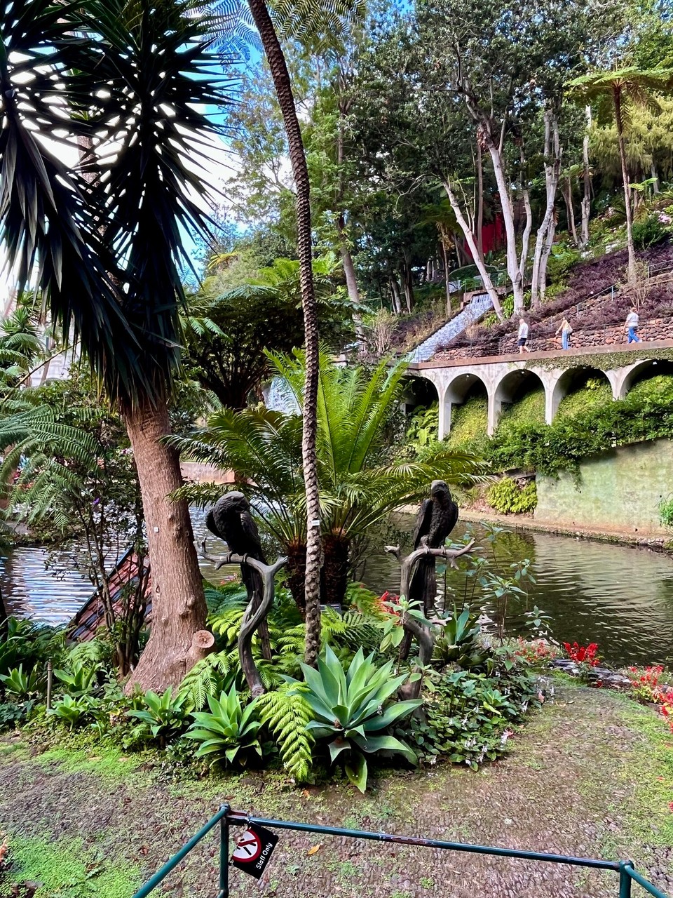 Portugal - Funchal - 