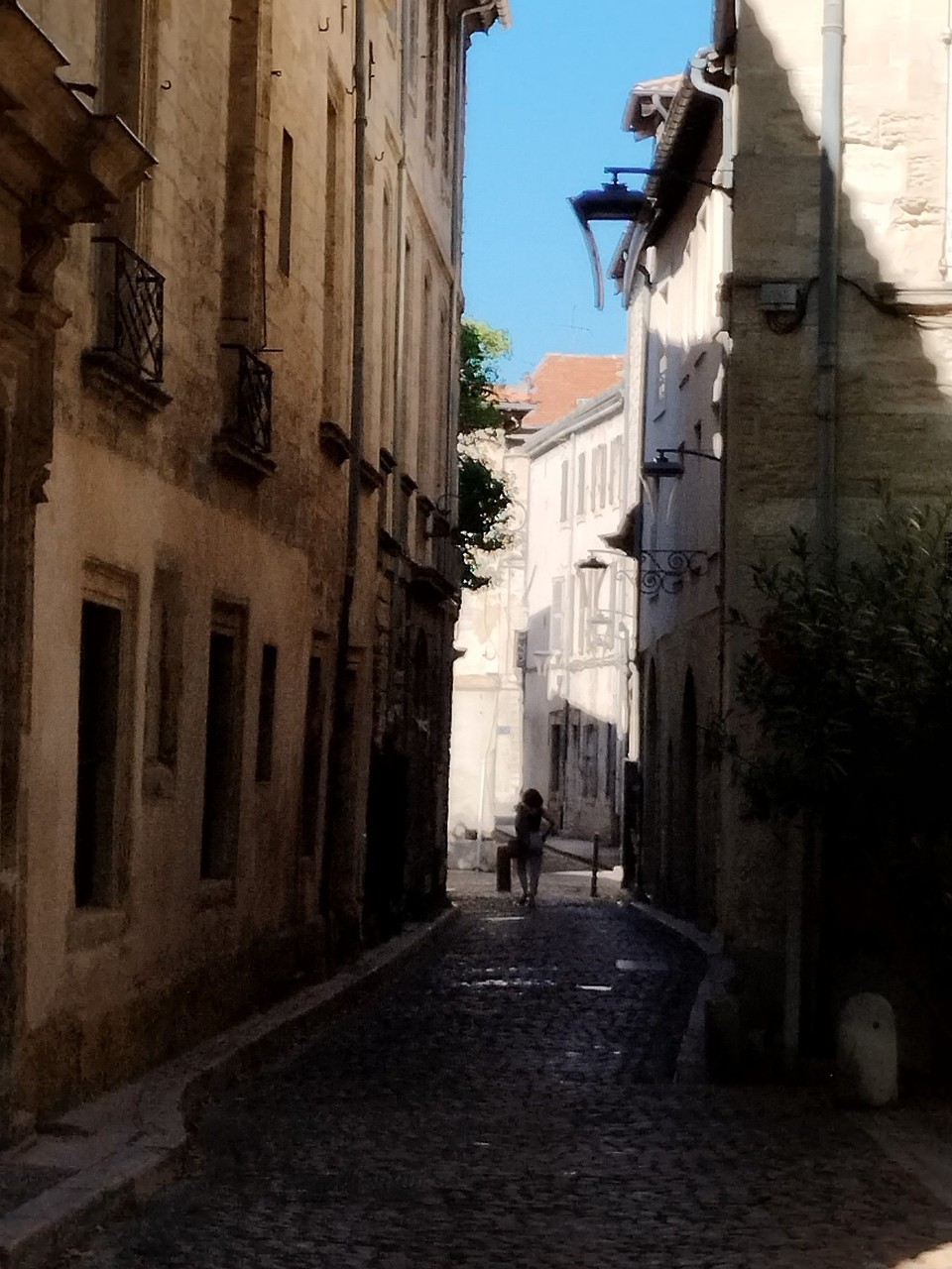 Frankreich - Avignon - 