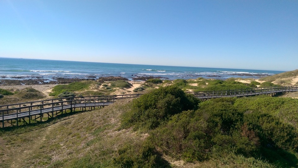 Südafrika - Port Elizabeth - Wir sind entlang der Küste Richtung Jeffreys Bay aufgebrochen.