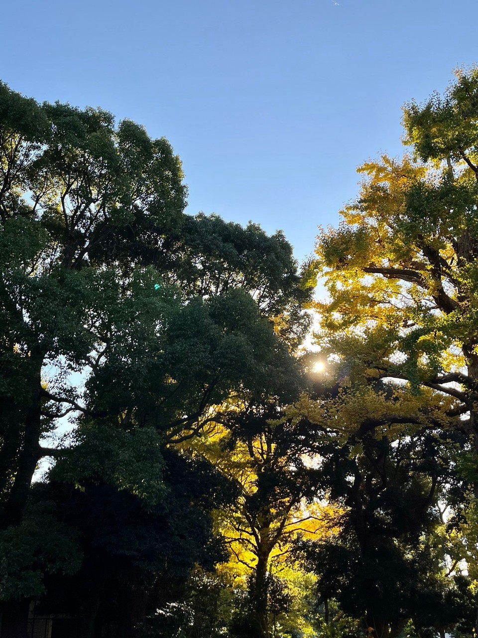 Japan - Chiyoda - 