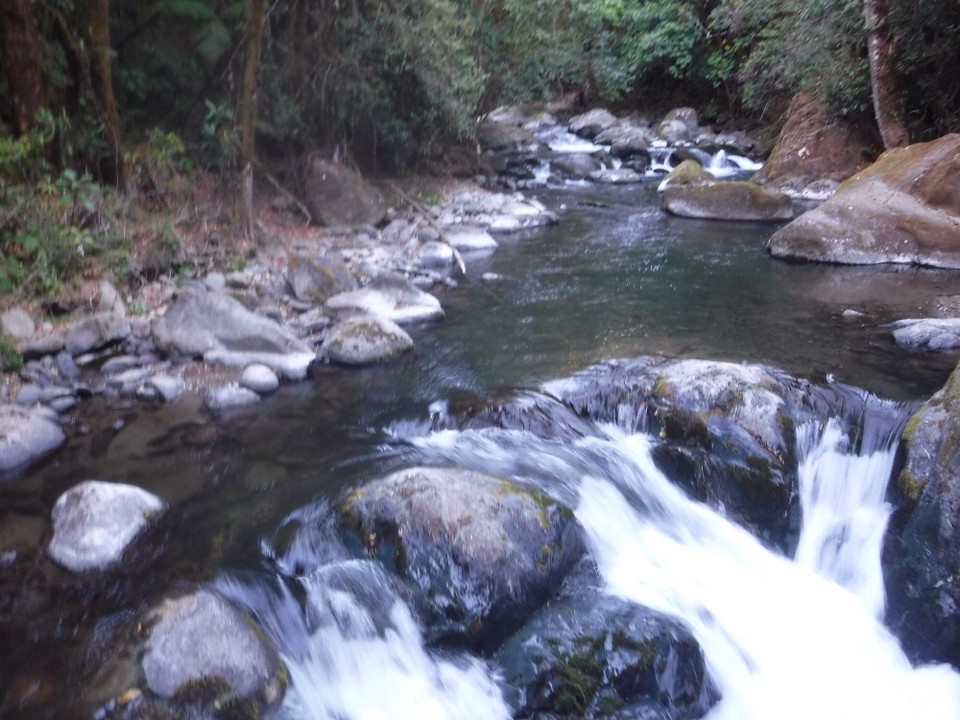 Costa Rica - Aguirre - 