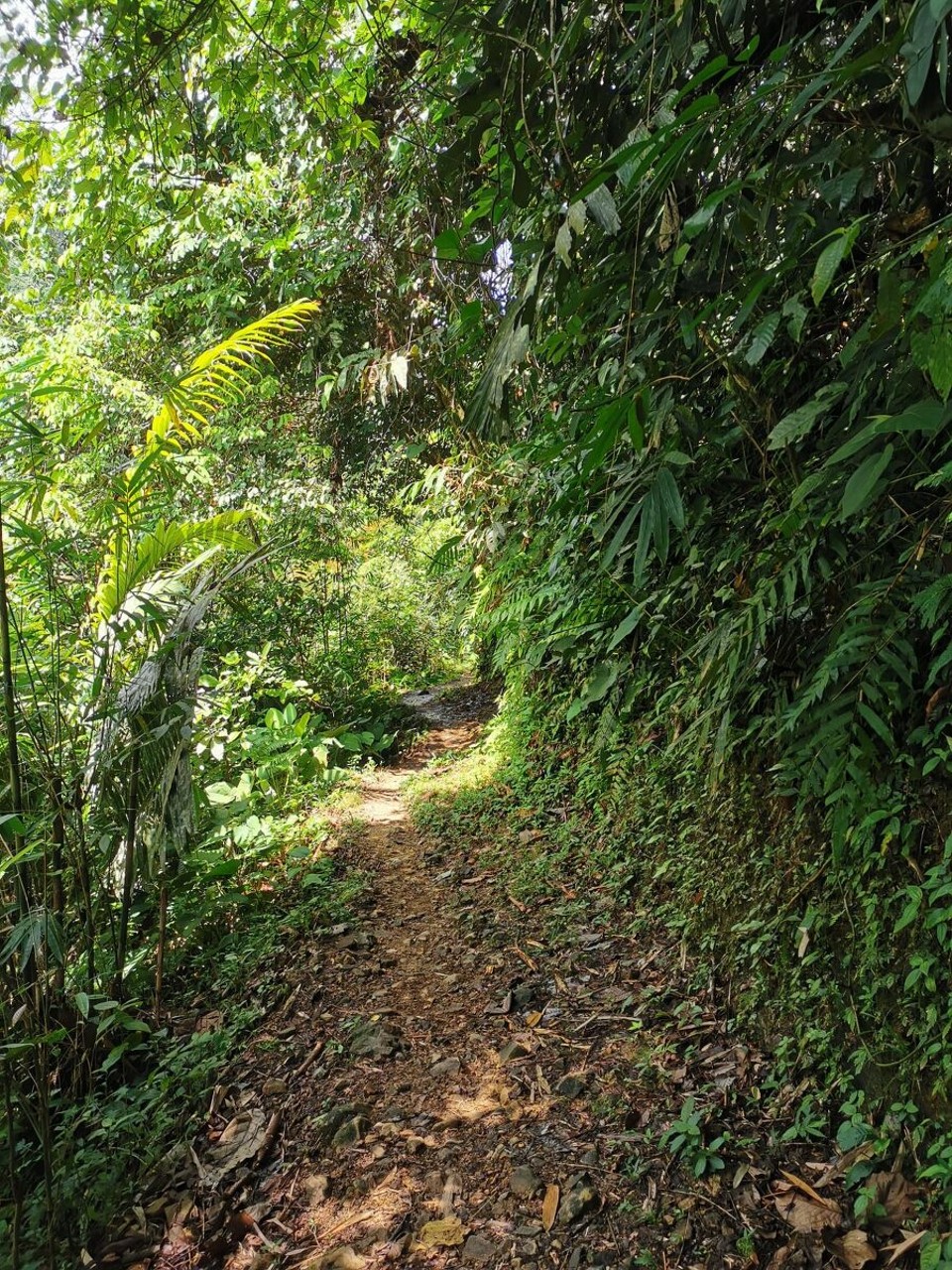 Indonesien - Kabupaten Langkat - 