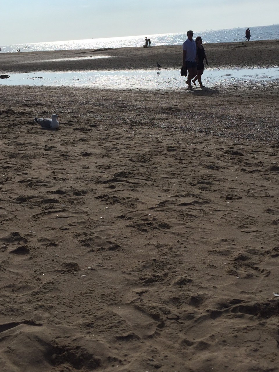 Niederlande - Katwijk - 