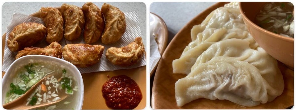 Indien - Neu-Delhi - Fried Veg Momos und normale Chicken Momos 🤤