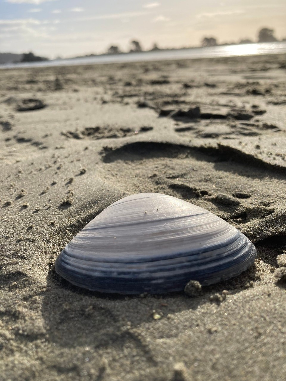 Neuseeland - Christchurch - 