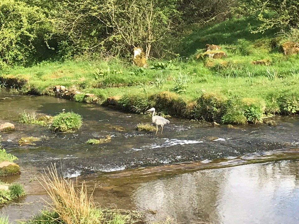 United Kingdom - Bakewell - 