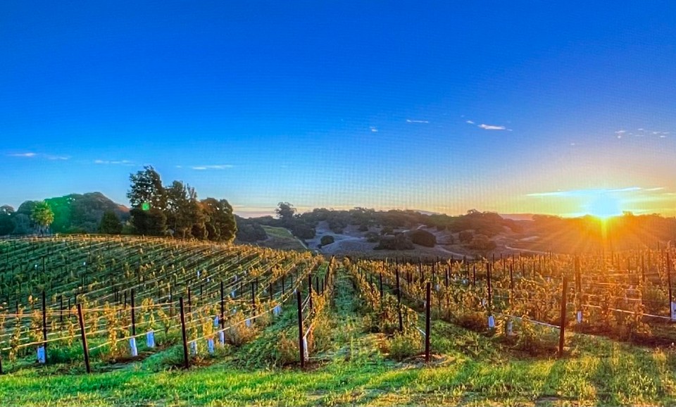 Deutschland - Selfkant - 