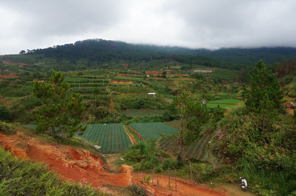 Vietnam - Da Lat - 