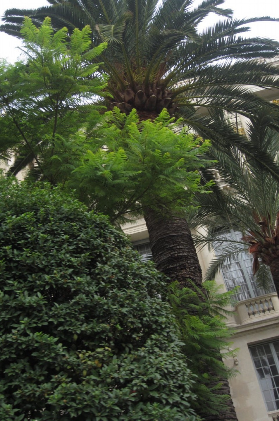 Frankreich - Nizza - 