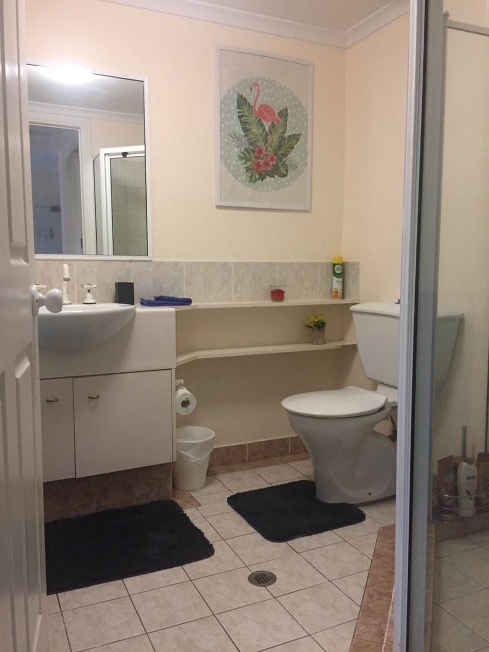 Australia - Parramatta Park - 