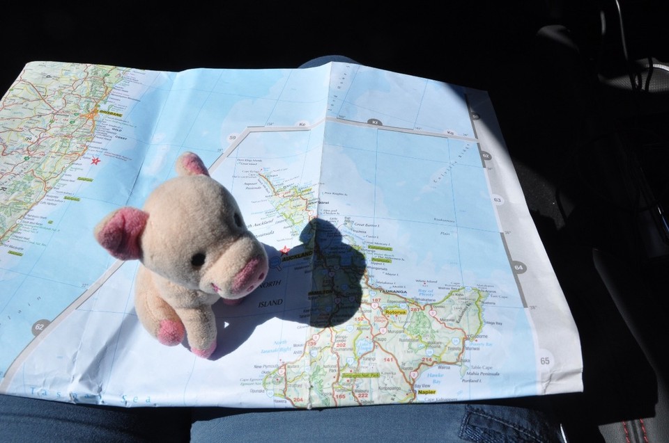 Neuseeland - Waitomo-Distrikt - Kartenstudium