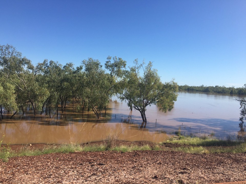 Australien - Litchfield Park - Es ist fast alles überschwemmt.