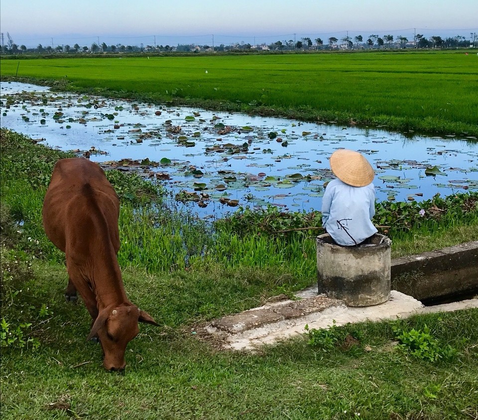 Vietnam - Hoi An - 