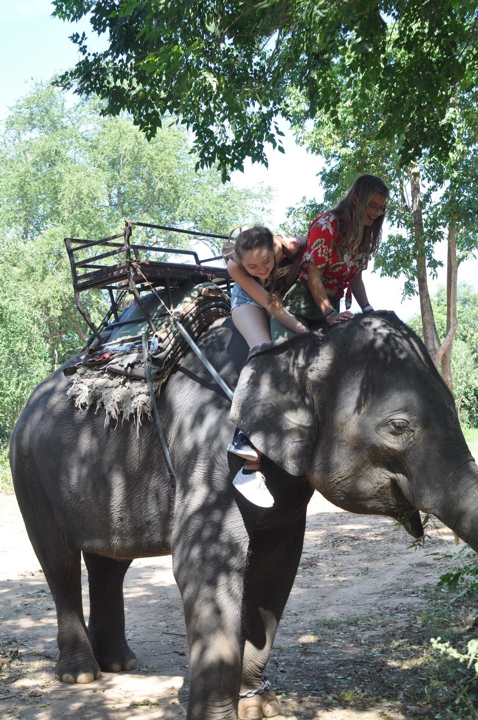 Thailand - Bangkok - 