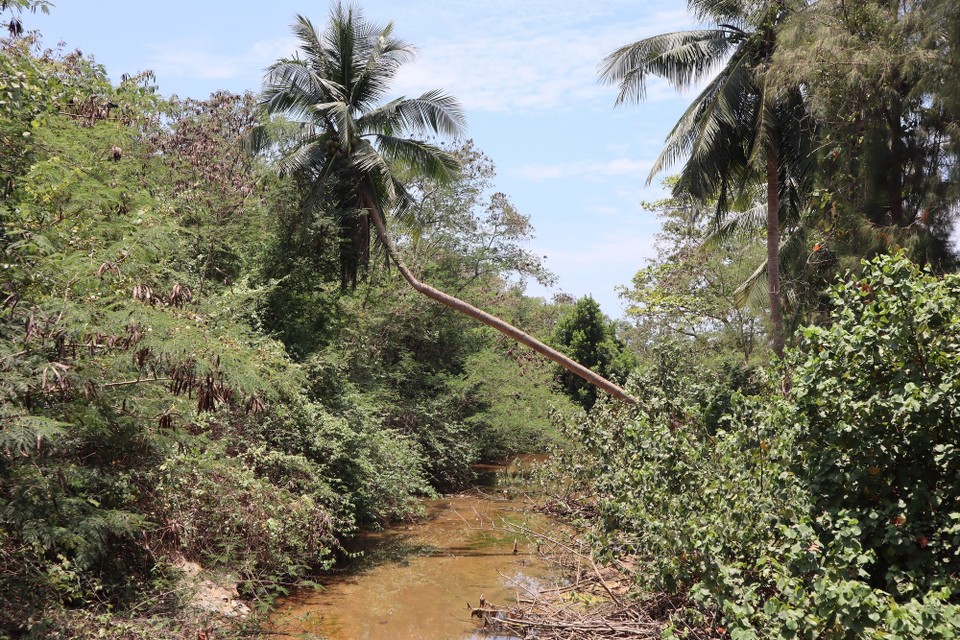 Thailand -  - 