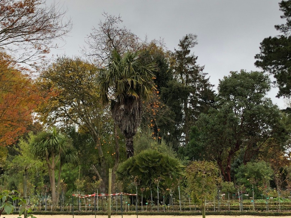 Frankreich - Rennes - 