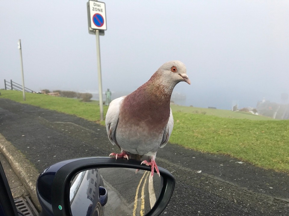 Ireland - Galway - 