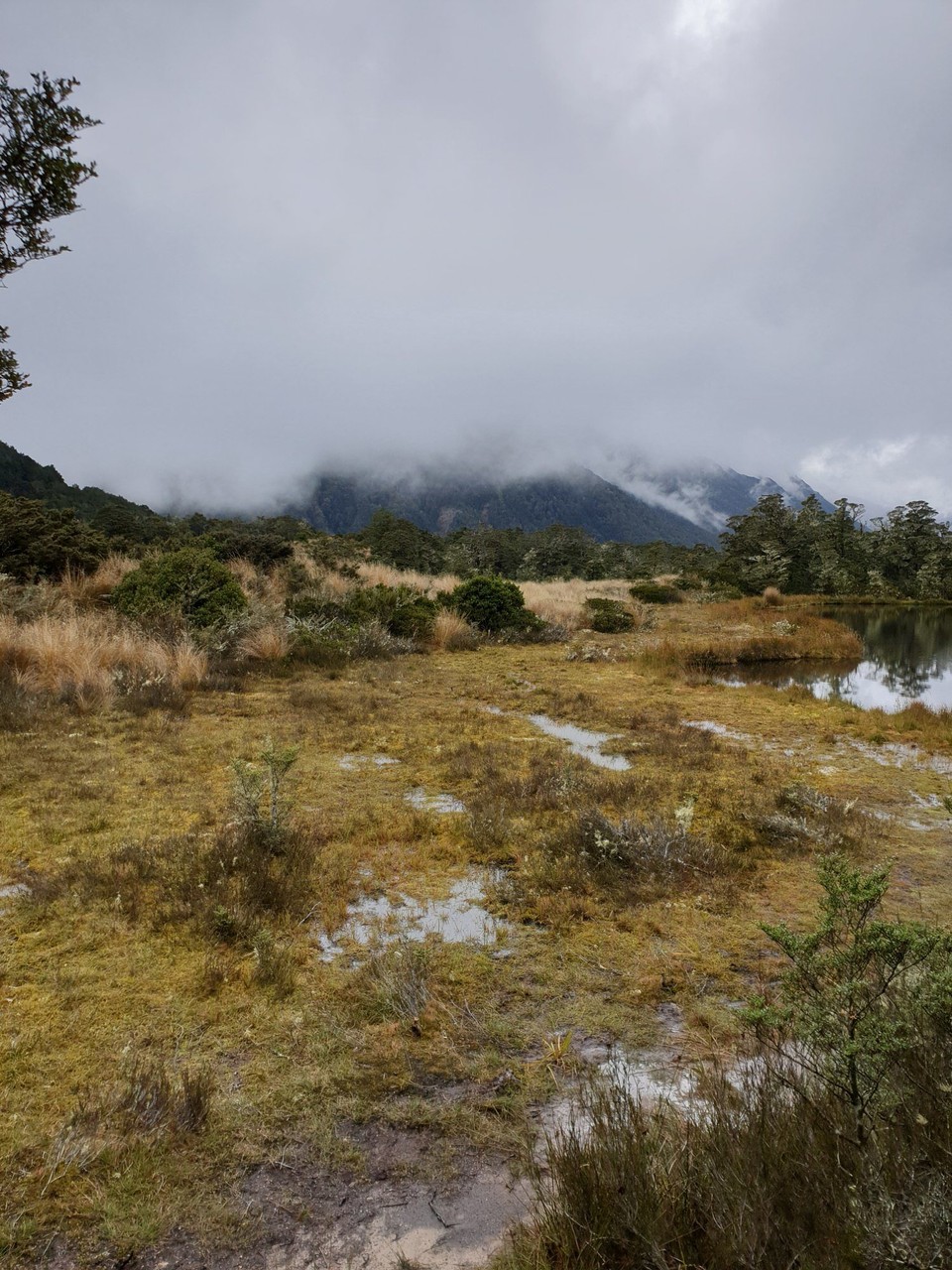 Neuseeland - Kaikoura - 