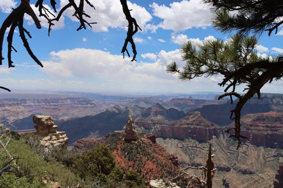 USA - Page - Grand Canyon North Rim