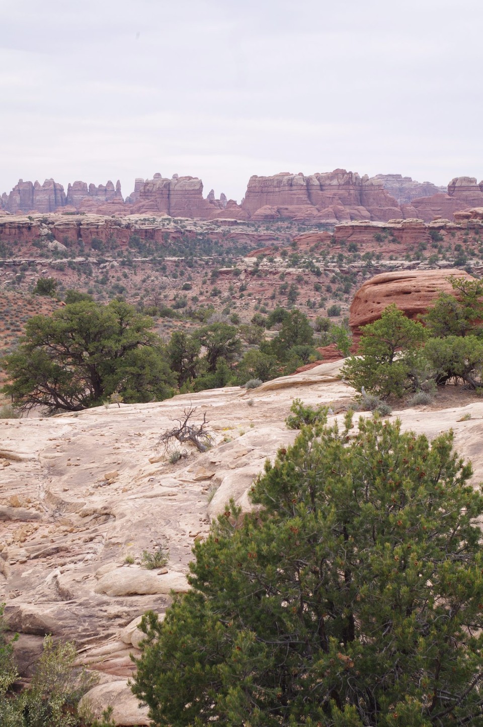 USA - Canyonlands-Nationalpark - 