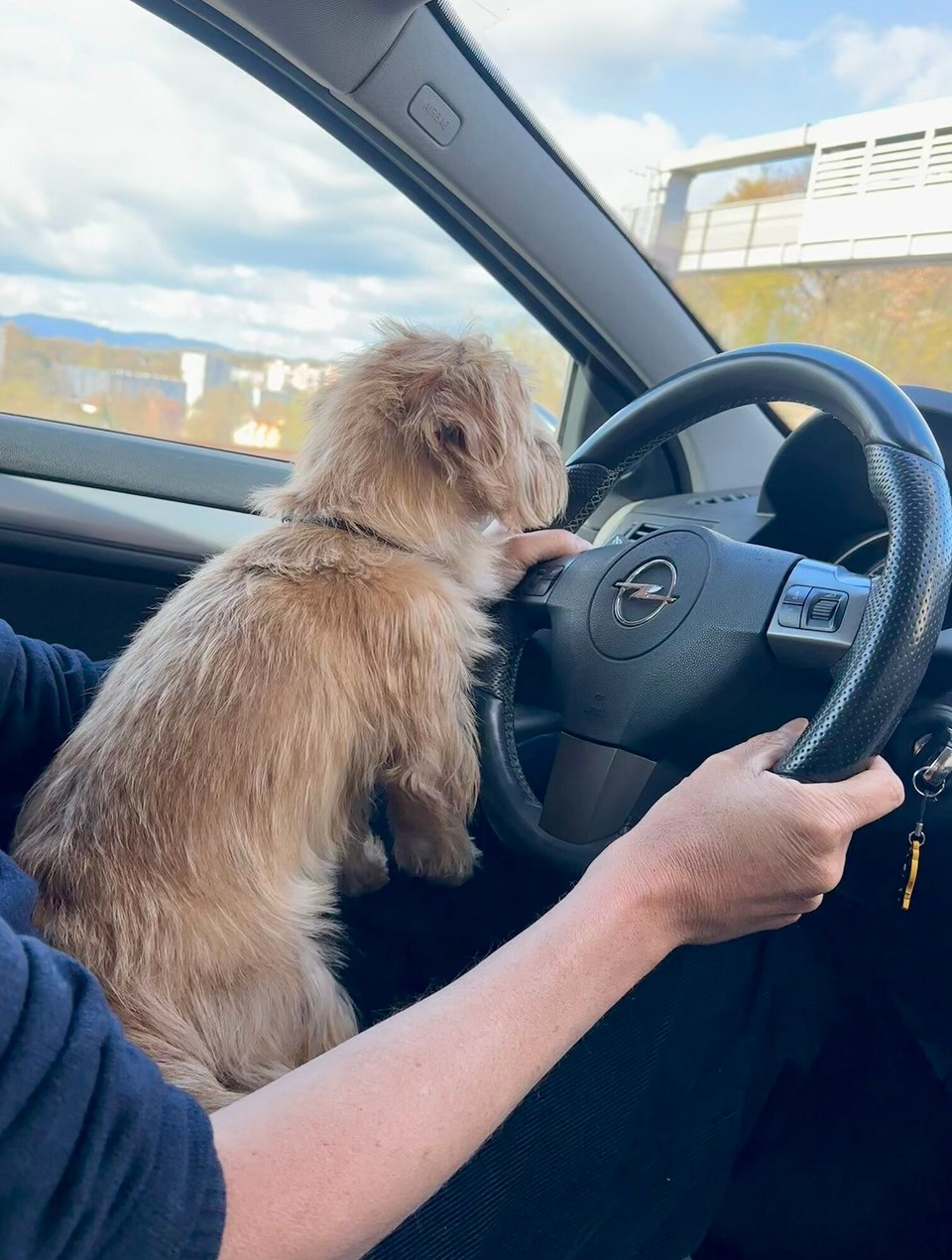 Frankreich - Ronchamp - 