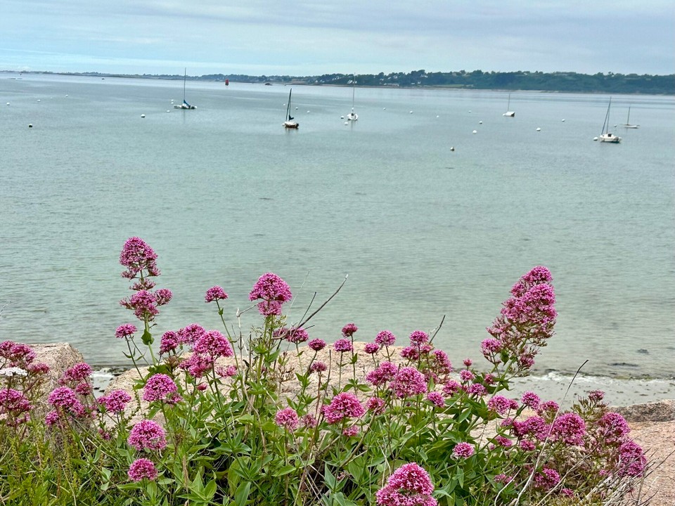 Frankreich - Perros-Guirec - 