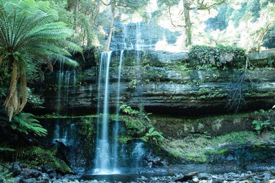 Australien - Franklin - Russell Falls ...