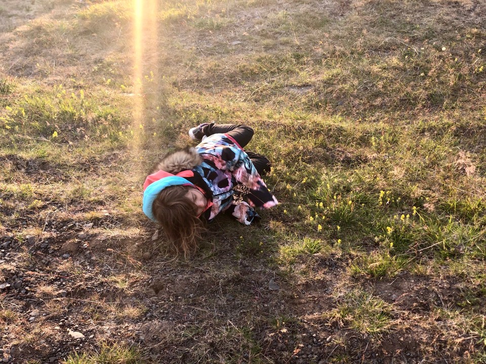 Island - Húnaþing vestra - Lena hat Spass...