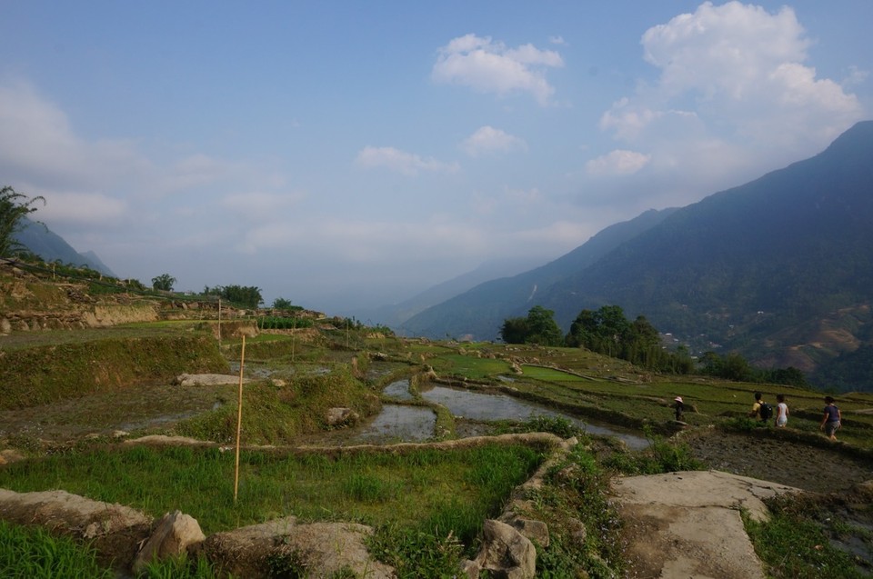 Vietnam -  - 