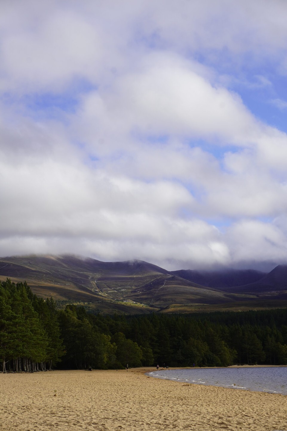 Vereinigtes Königreich - Aviemore - 
