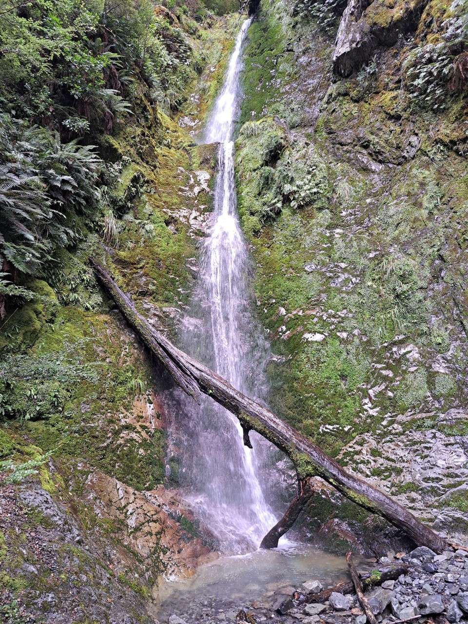 Neuseeland - Greenstone - 