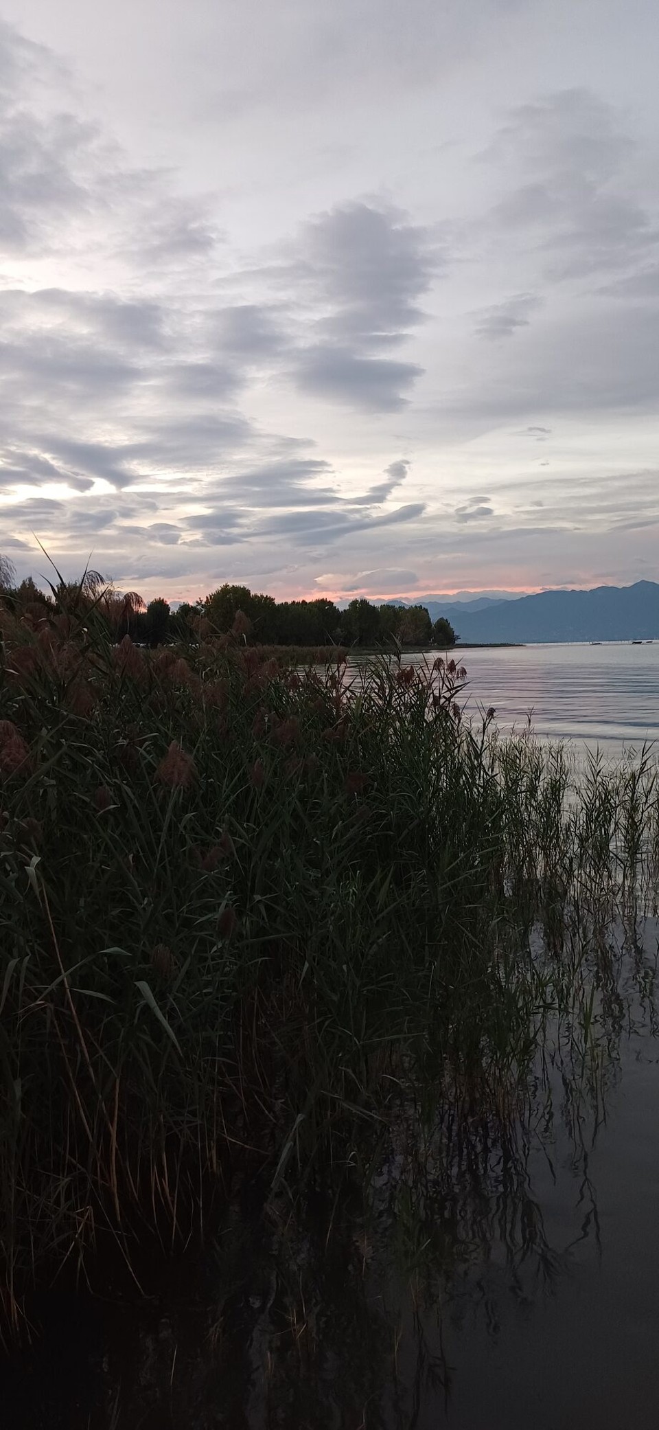 Italien - Sirmione - Abendstimmung