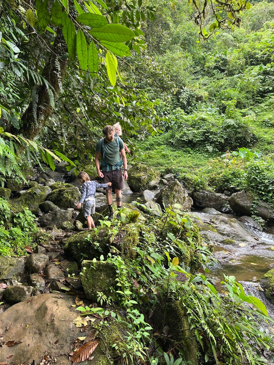 Panama - Santa Fé - 