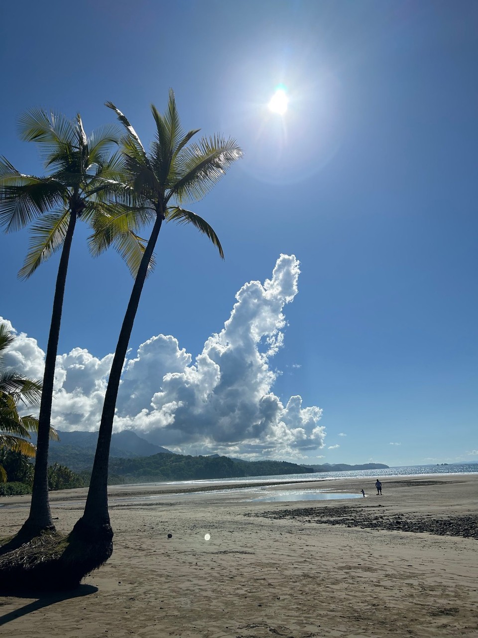 Costa Rica - Quepos - 