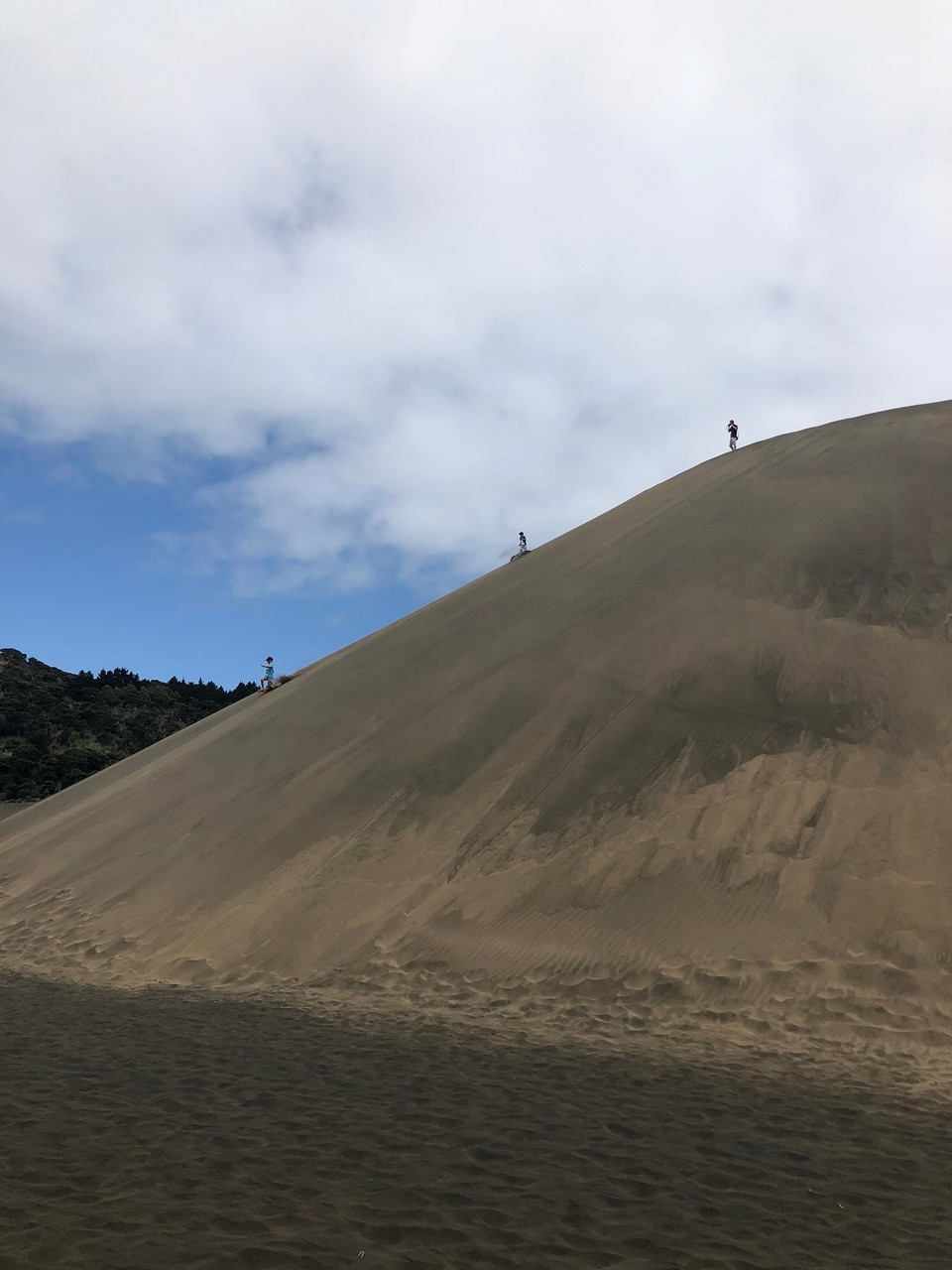 Neuseeland - Bethells Beach - Und wieder hinunter 
