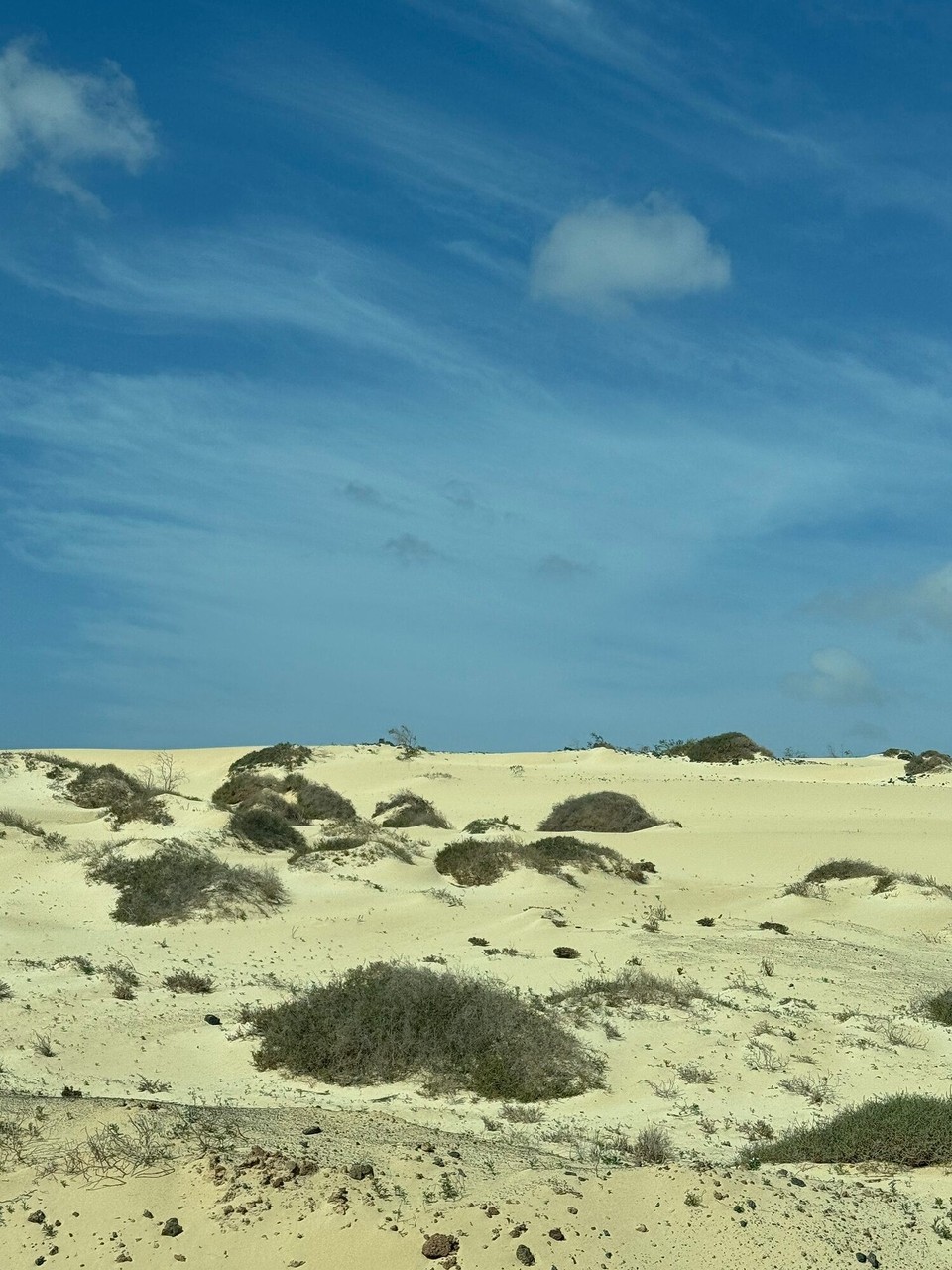 Spanien - Puerto del Rosario - 