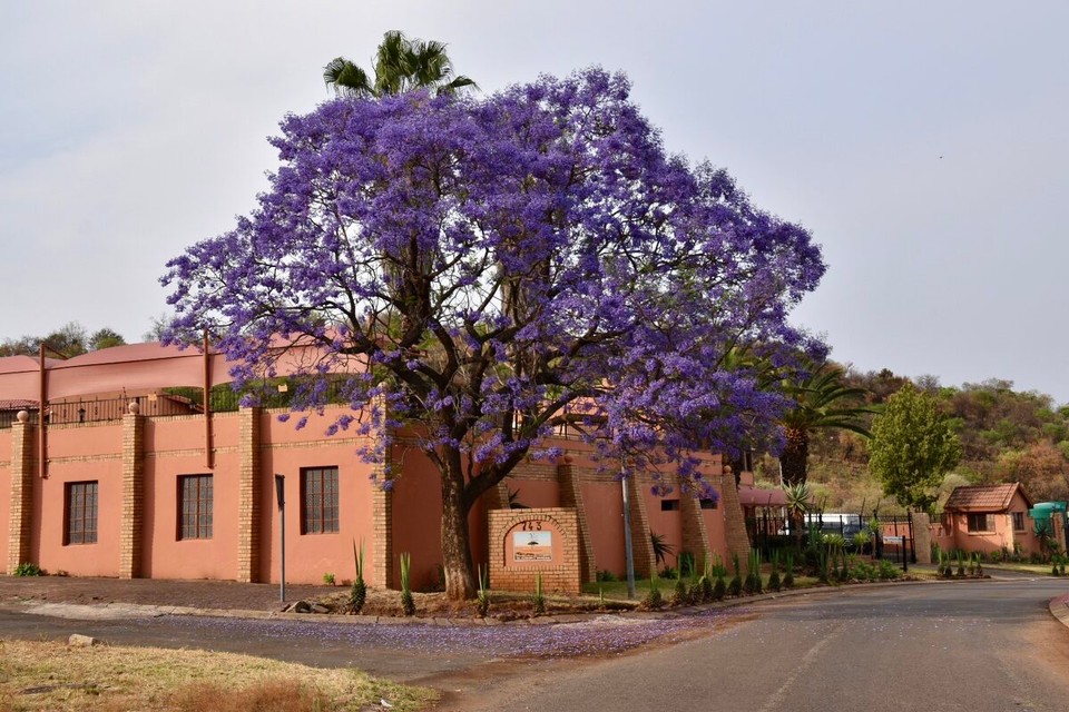 Südafrika - Mogwase - 