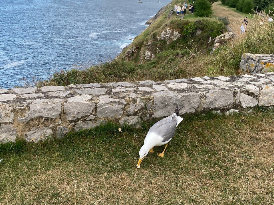 Spanien - Llanes - …….  das Warten hat sich gelohnt