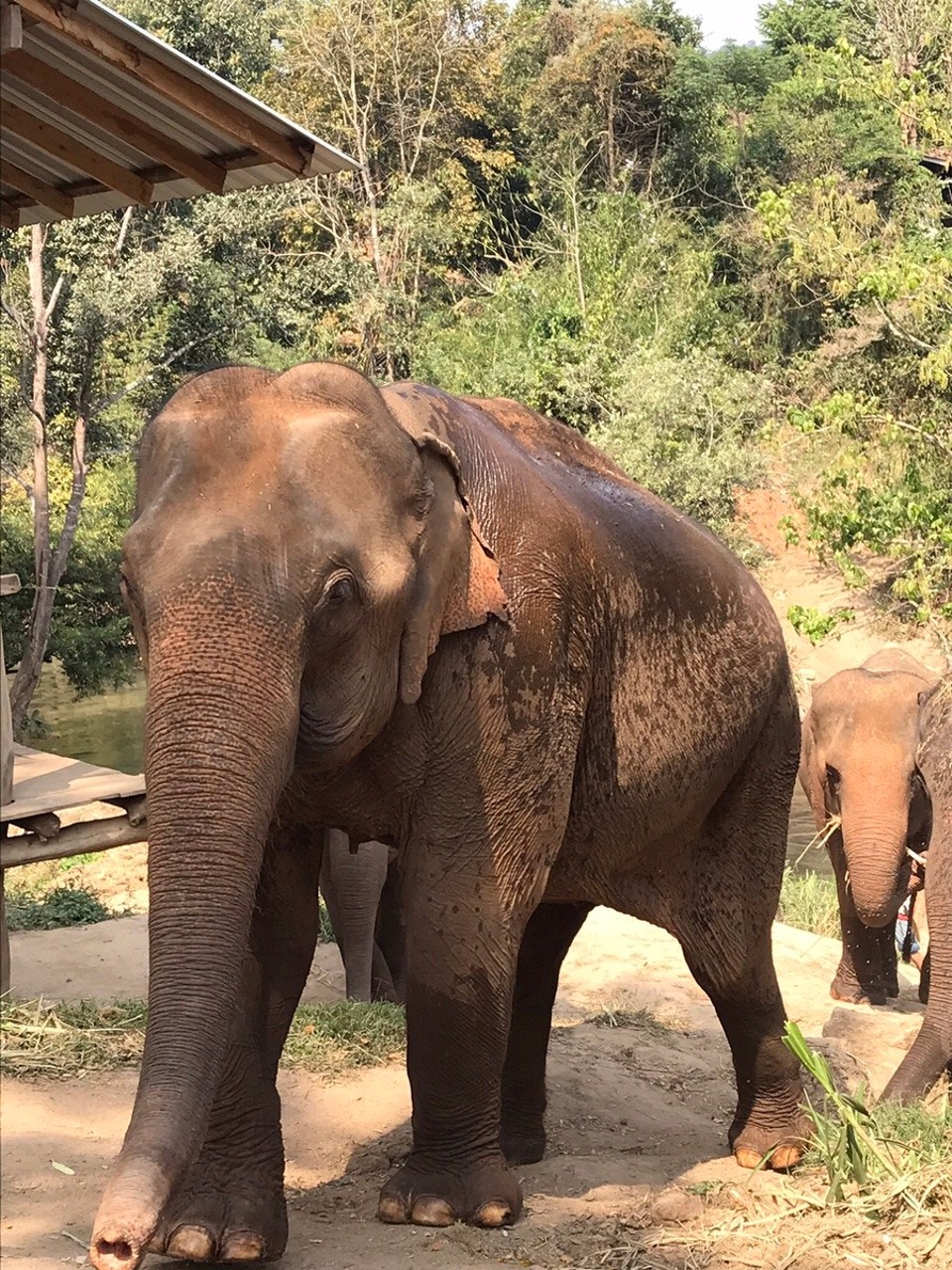 Thailand - Mae Wang - 