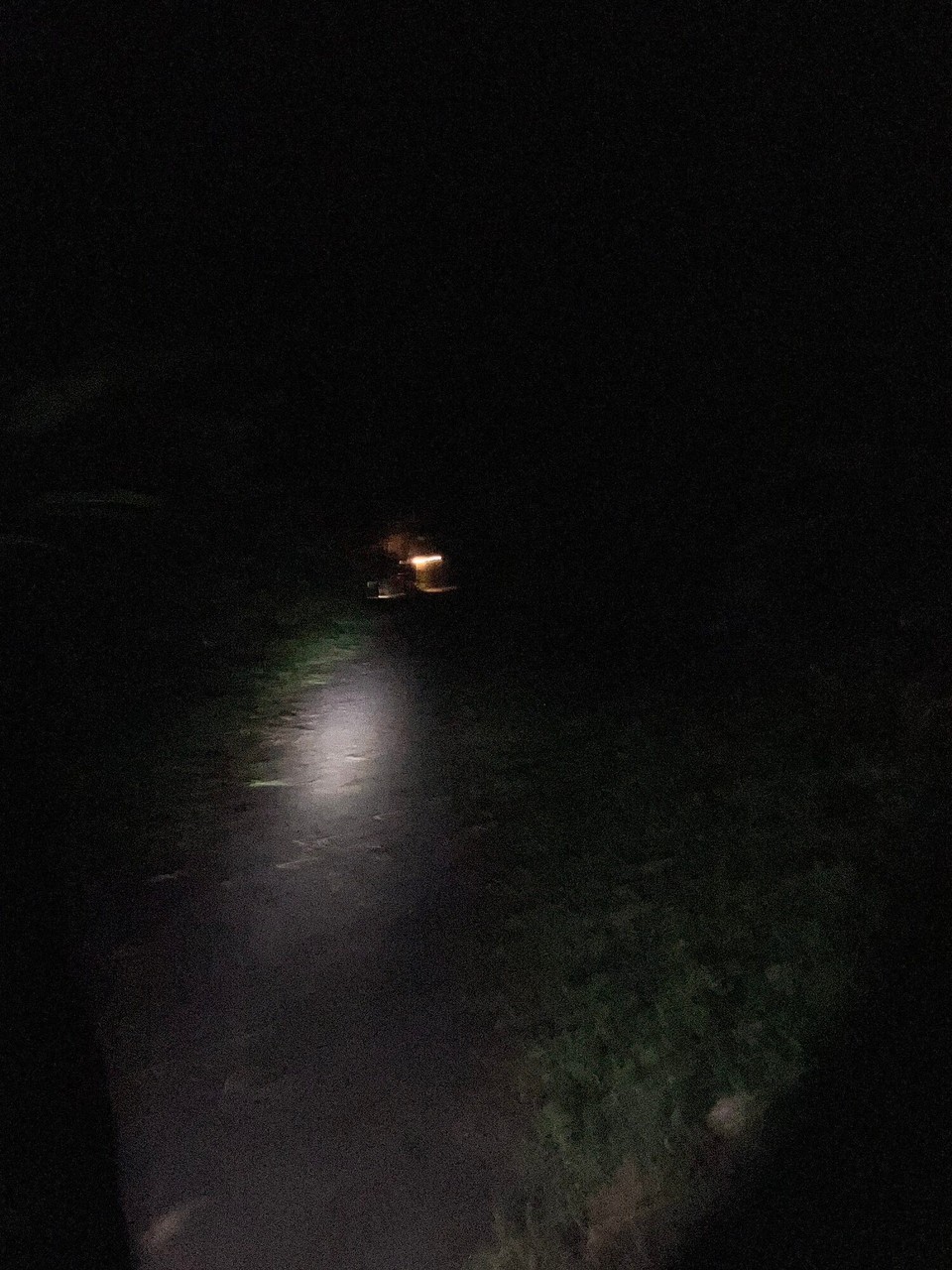 Costa Rica - Pococí - Und denn attunke ere Meeresbiologin im stockdunkle dure Jungle gfolgt zum ere riiise Schuldchrott zueluege wie sie ihres Näst zueschuflet