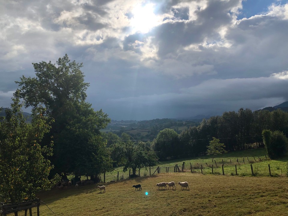 Spanien - Villaviciosa - 