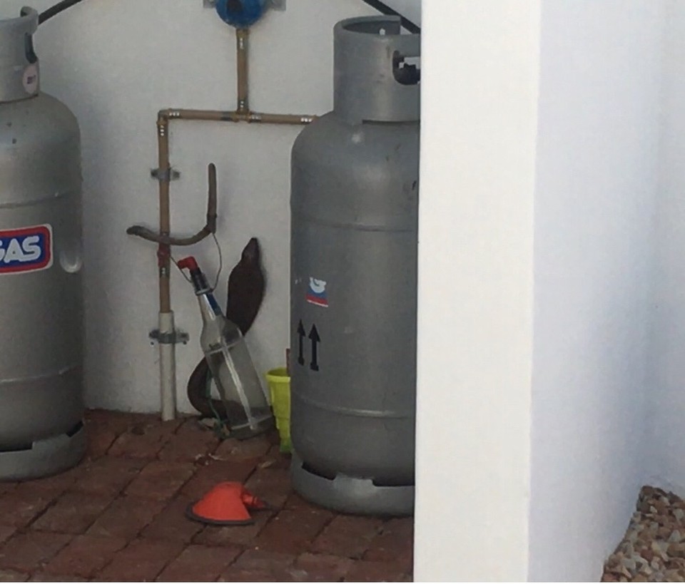 Südafrika - Jongensfontein - unsere cape cobra beim haus